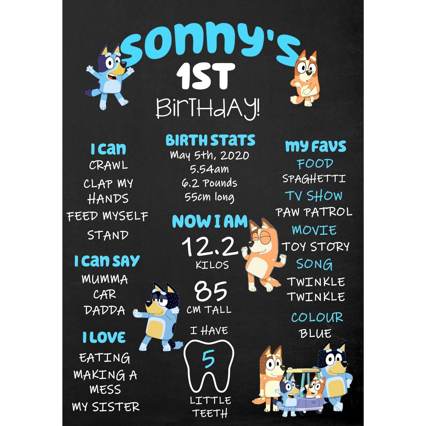 Bluey Birthday poster